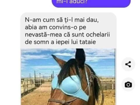 De ce un bărbat a cumpărat un cal