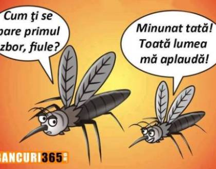 La ce trebuie să fie atent un ț&acirc;nțar dacă merge la opera