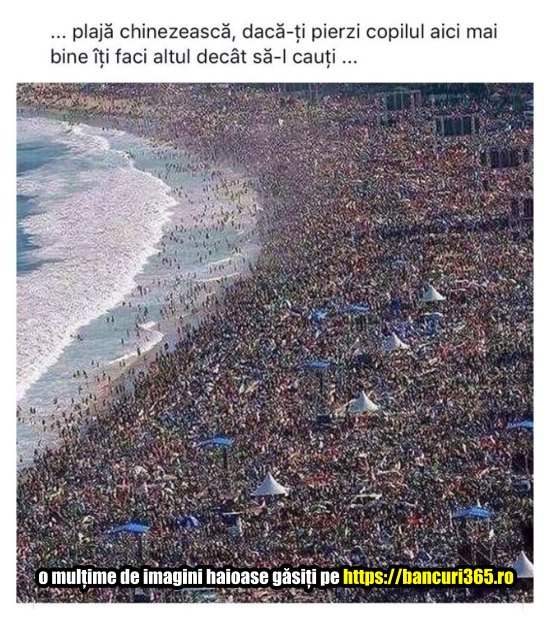 imagini amuzante de la plaja 4