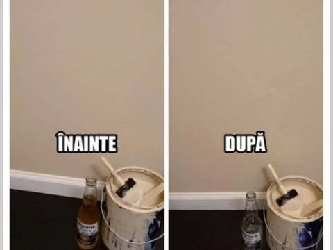 In ce mod lucreaza zugravii