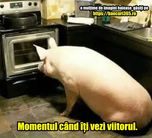 Acel momentu cand iti vezi viitorul