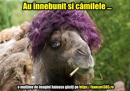O camila fumeaza