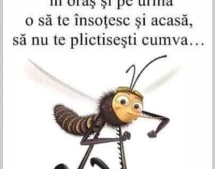 Ce a patit un tantar