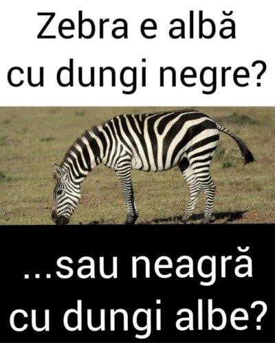 bancul zilei cum arata zebra