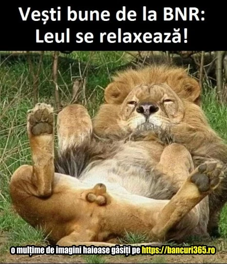 bancul zilei vestea buna de la BNR despre relaxarea leului