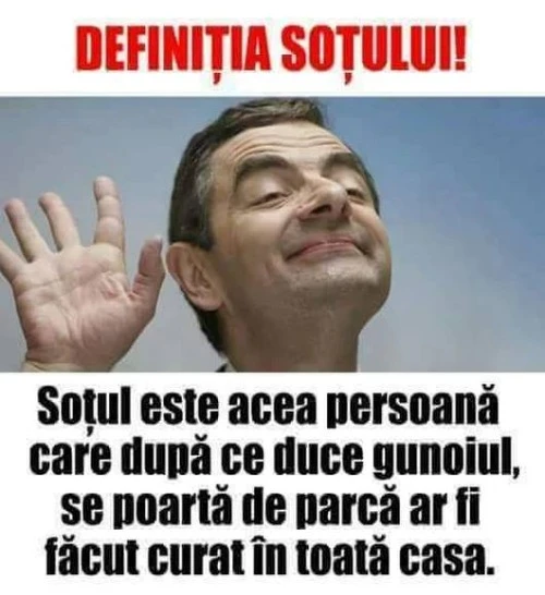 care este Definitia sotului