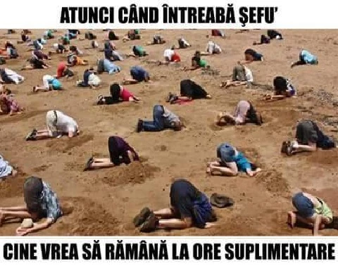 ce face lumea cand seful intreaba cine ramane la ore suplimentare
