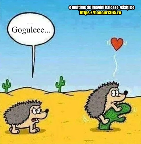 ce face un arici in desert gluma zilei