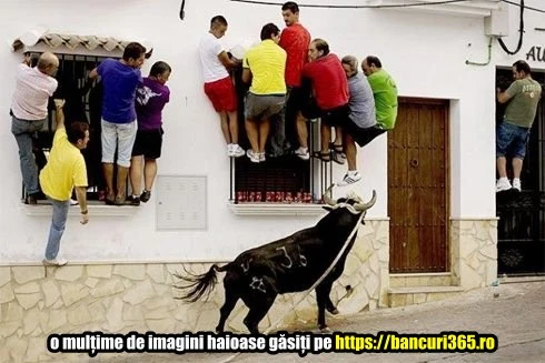 ce face un taur nervos
