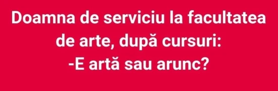 ce intrebare are femeia de servici de la facultatea de arte