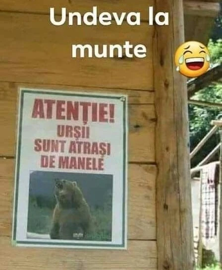 ce muzica le place ursilor