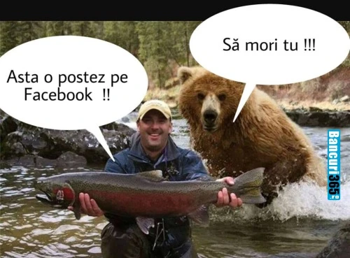 ce parere are un urs