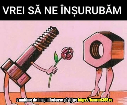 ce propunere are un surub bancuri