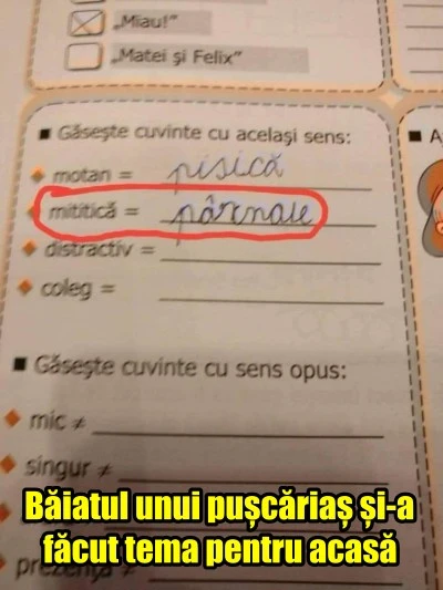ce scrie un pusti din cartier