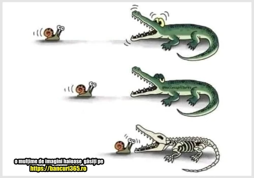 ce se intampla la o intalnire dintre melc si crocodil gluma zilei
