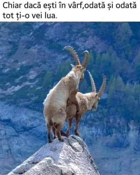 chiar daca esti sus poti sa o iei