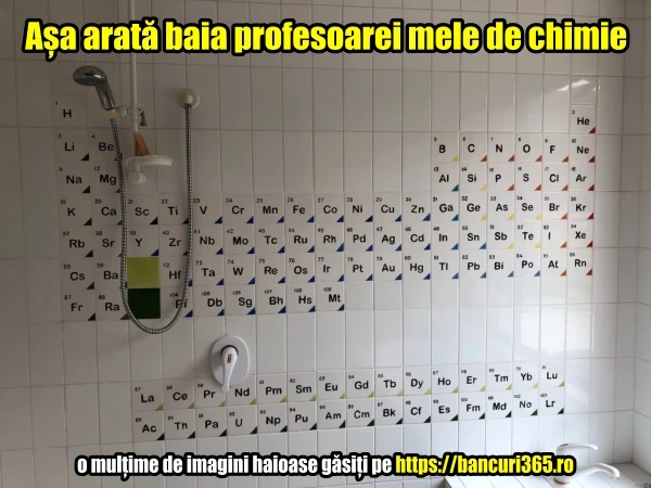 cum arata baia unui chimist