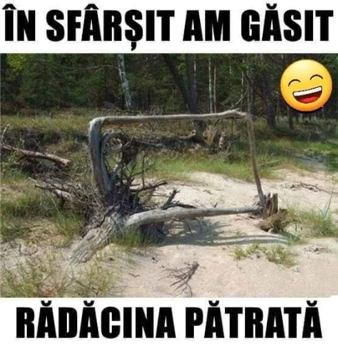 cum arata de fapt radacina patrata bancuri tari