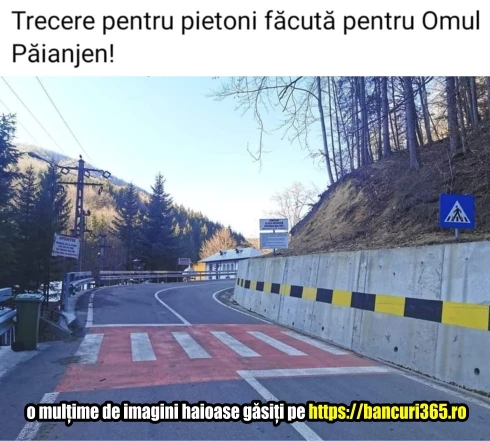 cum arata o trecere de pietoni facuta aiurea