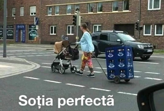 cum arata sotia perfecta