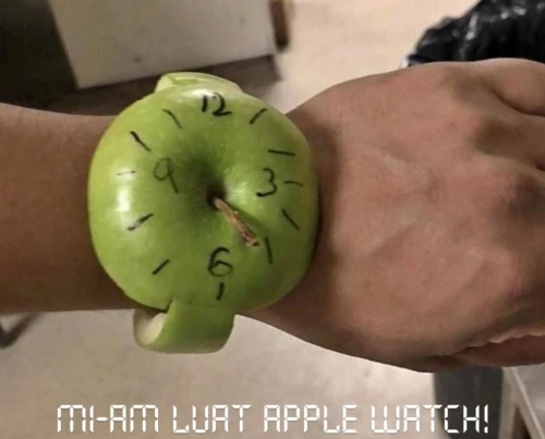 cum arata un apple watch