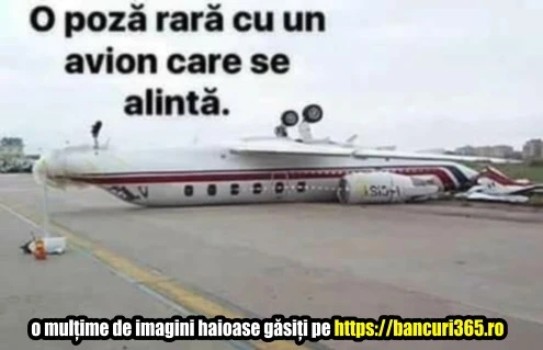 cum arata un avion care se alinta