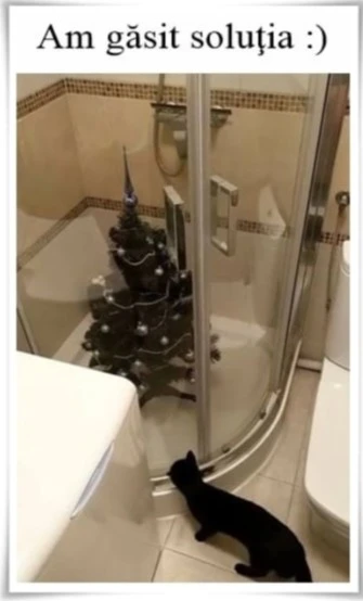 Unde iti tii bradul de Craciun atunci cand ai pisica