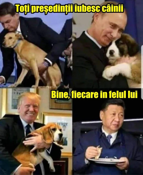 cum iubesc presedintii de tari cainii