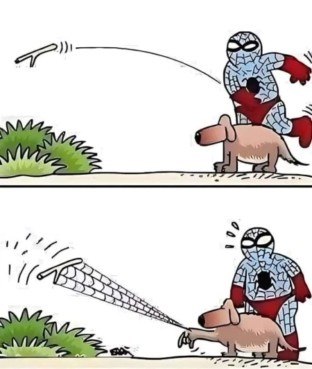 cum se comporta cainele lui Spiderman