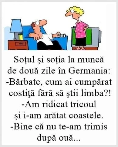cum se descurca un roman in Germania