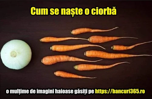 cum se naste ciorba