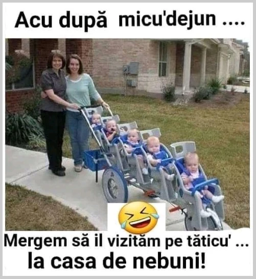 de ce poti ajunge la casa de nebuni