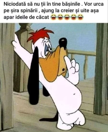 de ce sa nu faci un lucru