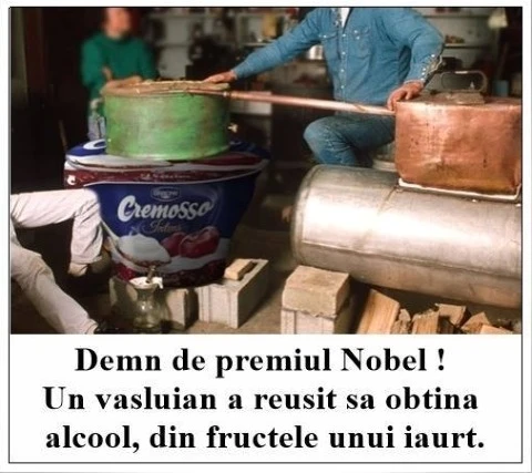 din ce a obtinut alcool un vasluian