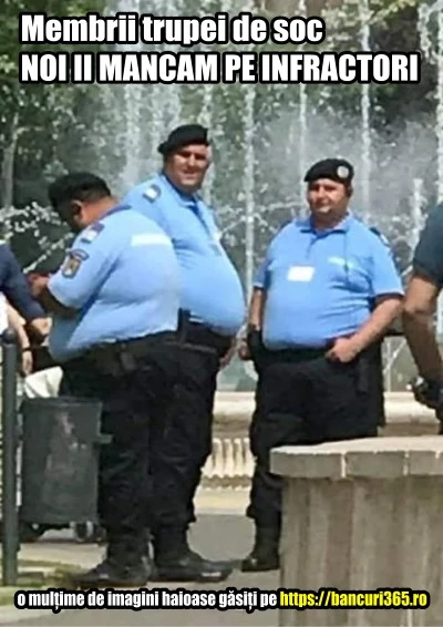 grup de politisti grasi