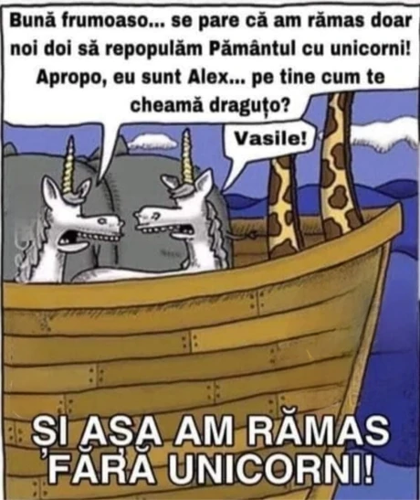 motivul pentru care am ramas fara unicorni