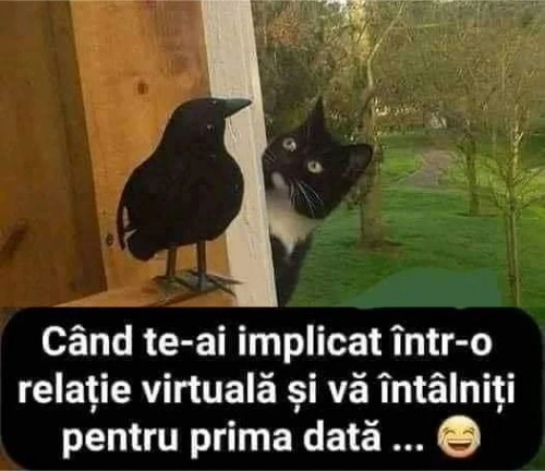 prima intalnire intr o relatie virtuala