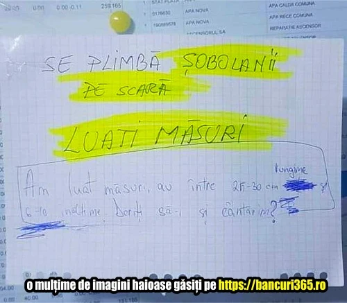 raspunsul unui locatar la o problema din bloc
