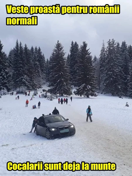 un cocalar la munte