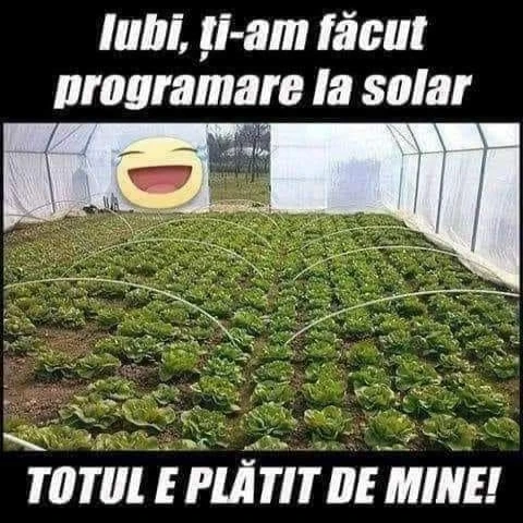 unde a facut un barbat programare pentru iubita lui